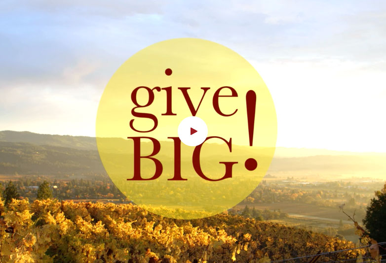 How are your donations Spent?